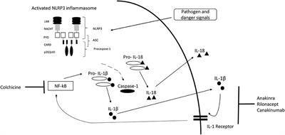 Management of Monogenic IL-1 Mediated Autoinflammatory Diseases in Childhood